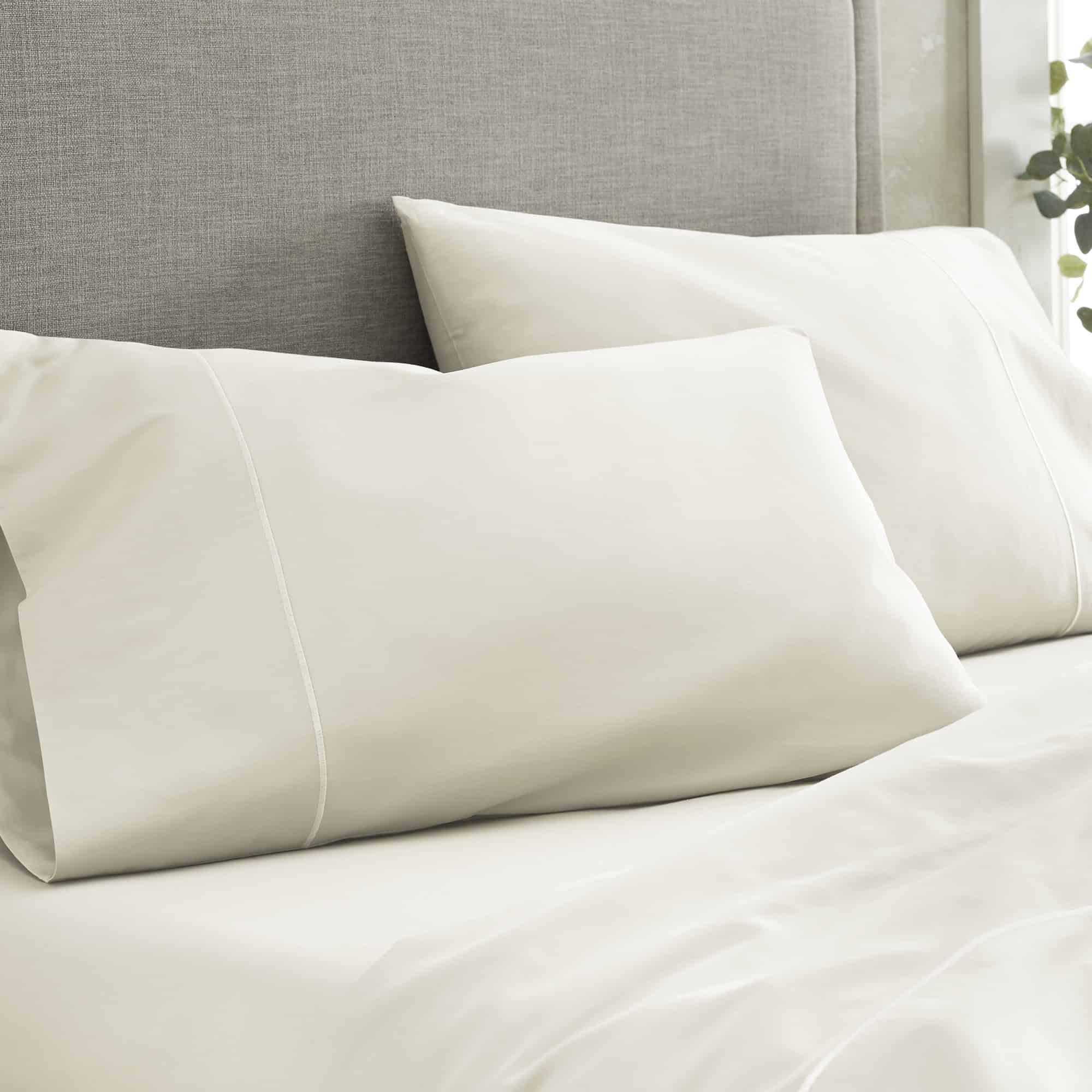 500 TC Organic Cotton Sateen Sheet Set