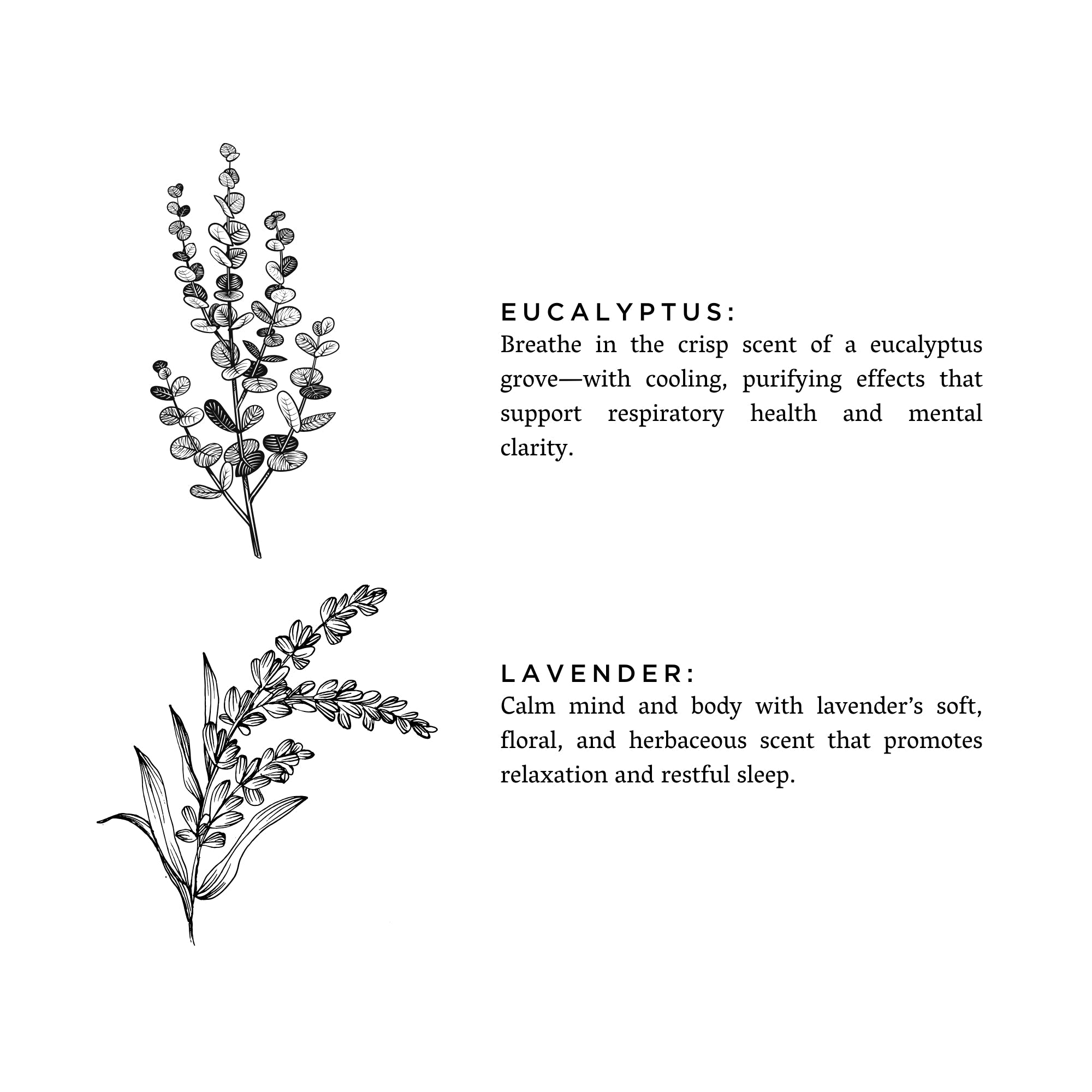 Eucalyptus & Lavender 3-Wick Candle