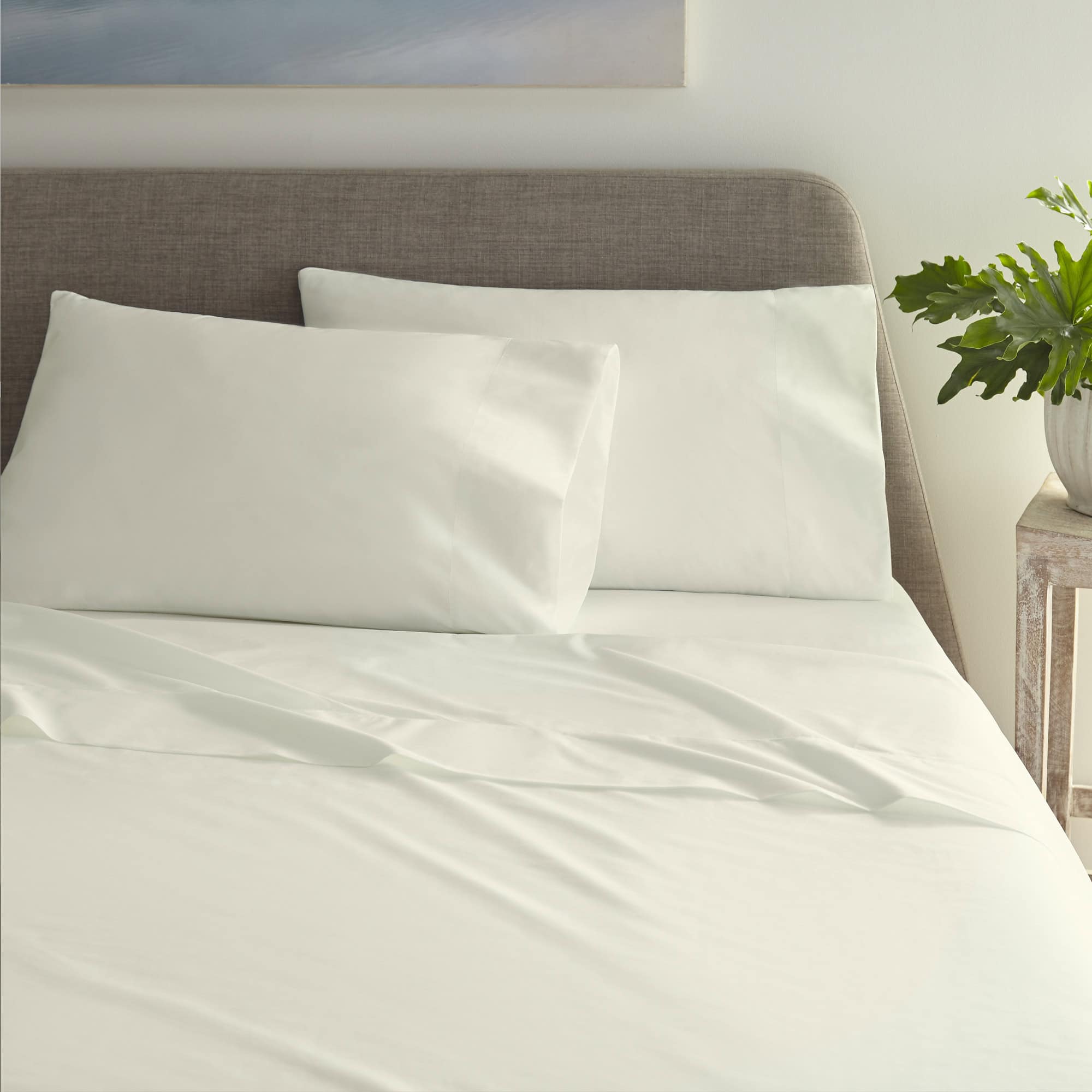 270 TC Organic Cotton Percale Sheet Set