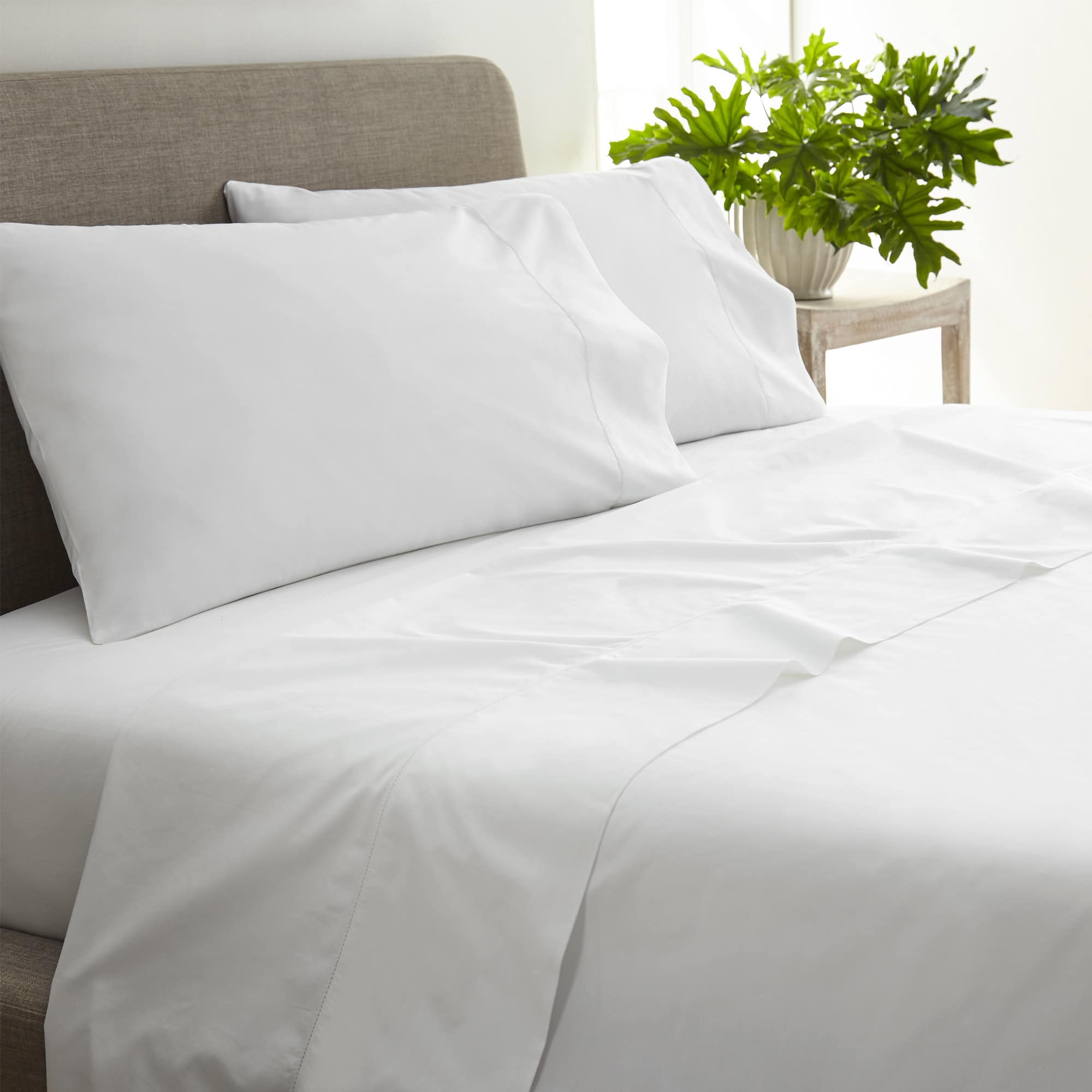 Organic Percale Sheet Set — Picot Embroidery (270TC)