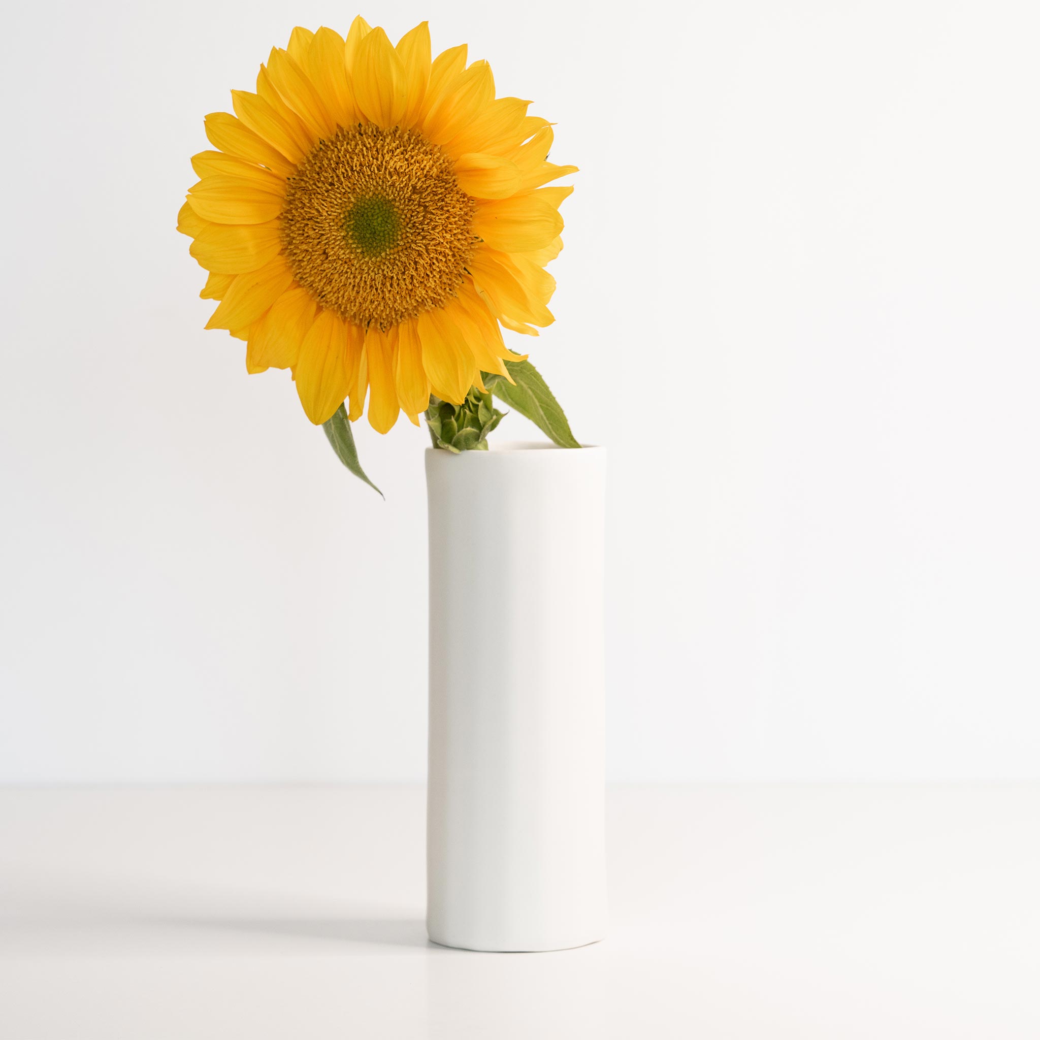 Bloom Vase — Handmade Porcelain