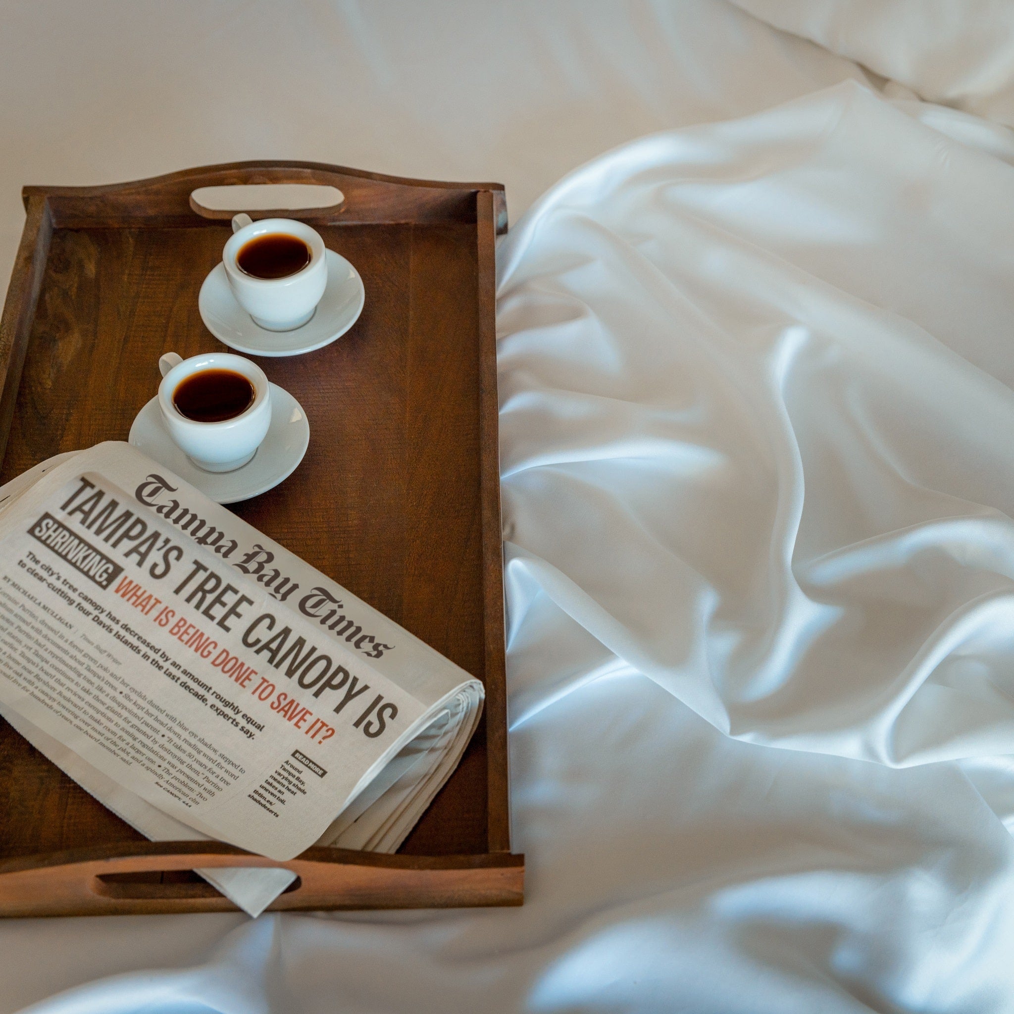Eucalyptus Silk Sheet Set — Cooling & Breathable
